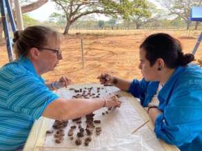 Katherine learning about bone identification