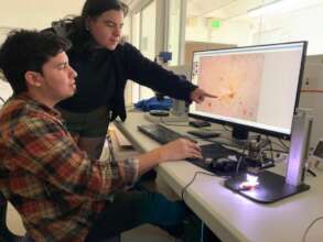 Katherine and Arturo working on sperm whale tooth