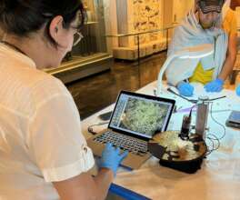 Looking for manufacturing marks on gold disc