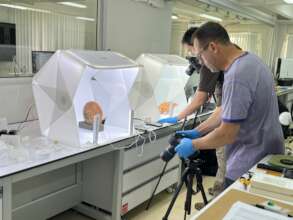 GDH members imaging artifacts