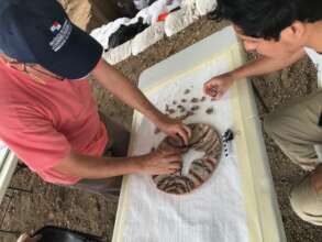 James learning about ceramic identification