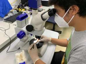 Arturo cleaning an artifact beofre taking photos