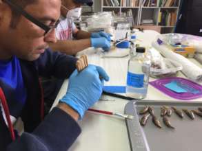 Aurelio Sanchez and Elias Zaldivar