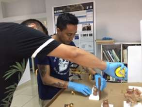 Elaboration of artifact supports