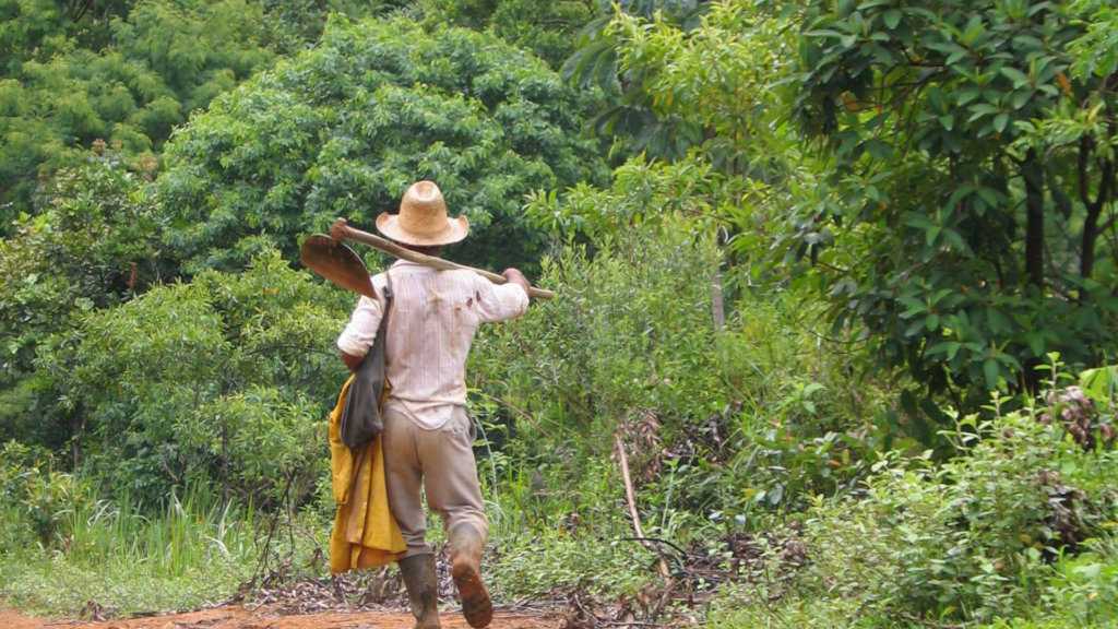 Sustainable agriculture for small farming families