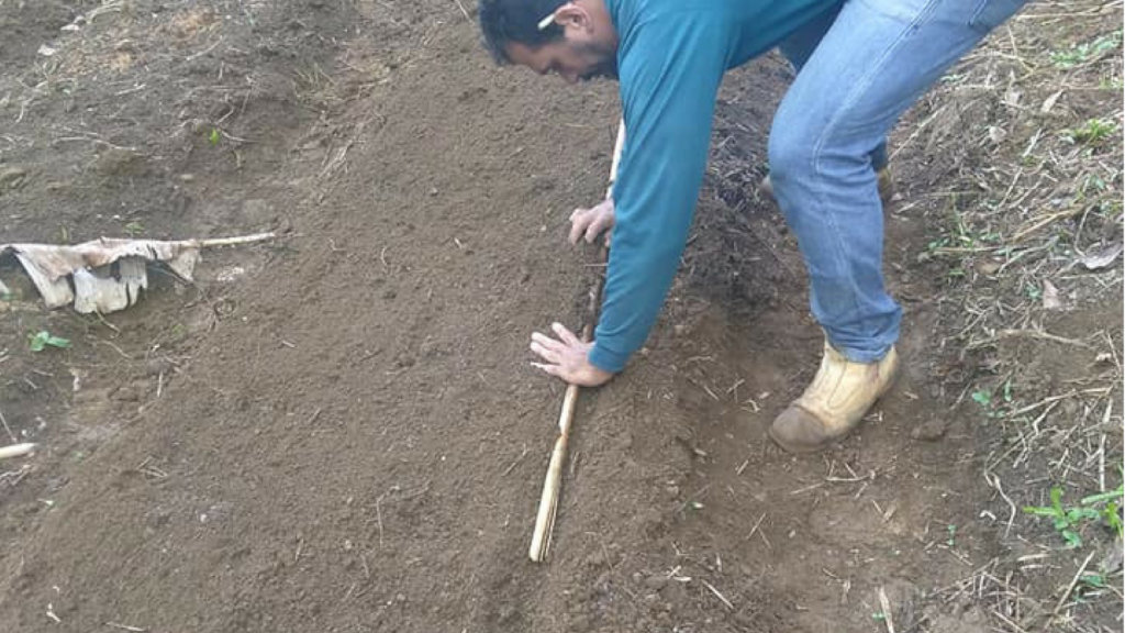 Sustainable agriculture for small farming families