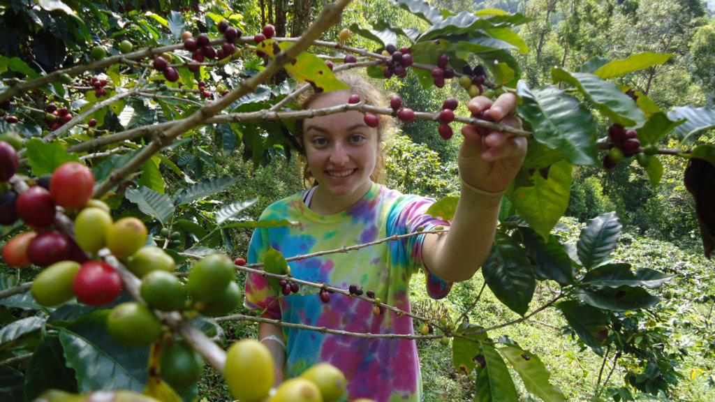 Sustainable agriculture for small farming families