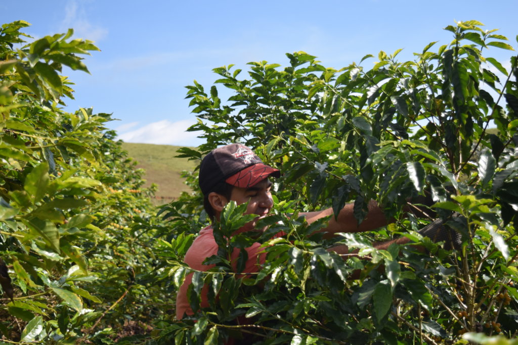 Sustainable agriculture for small farming families