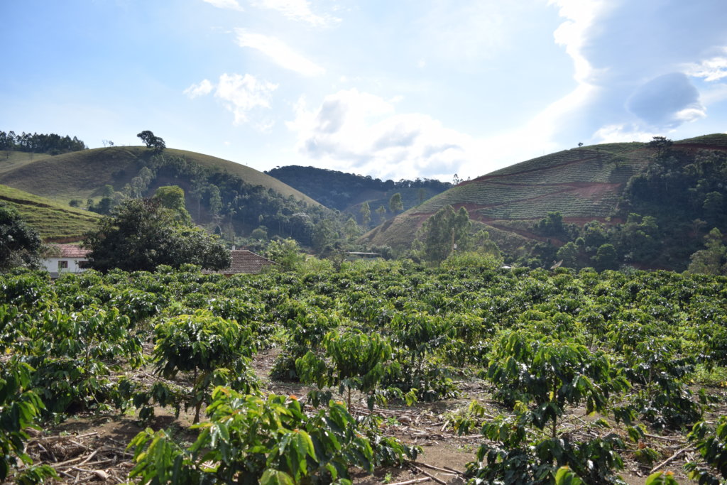 Sustainable agriculture for small farming families