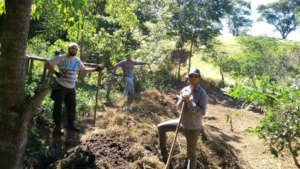 Composting for soil fertilizer