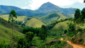 Landscape of the community of Graminha