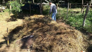 Storing grass to make compost