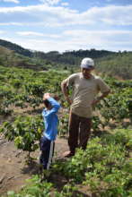 Father and son at coffee farm