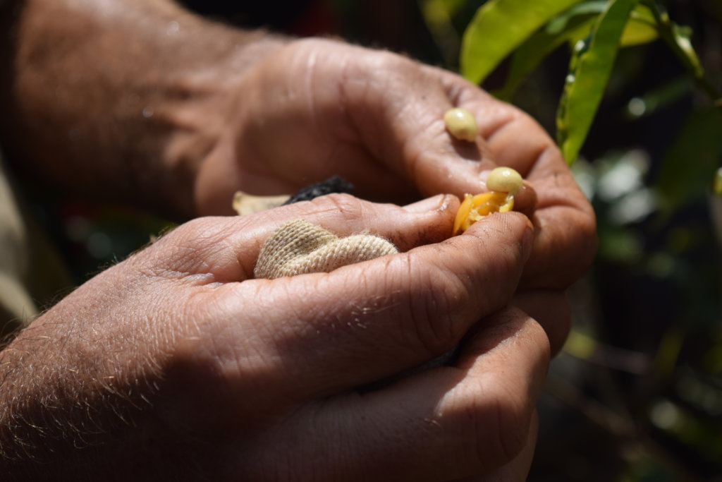 Sustainable agriculture for small farming families