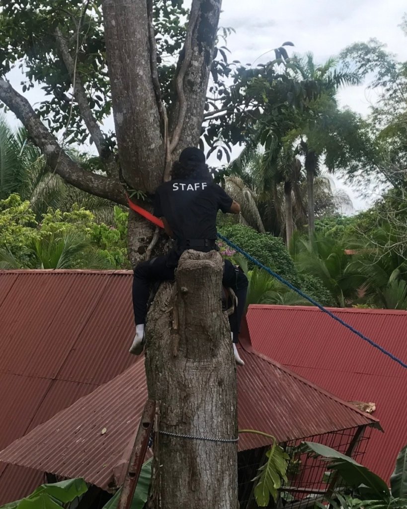 Jeanka Climbing like a Monkey to Install a Bridge