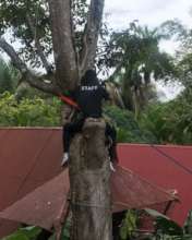 Jeanka Climbing like a Monkey to Install a Bridge