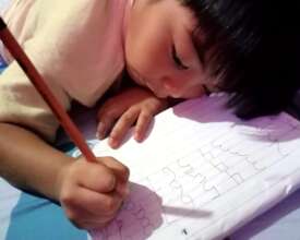 One of many HBI home-based tutorial participants