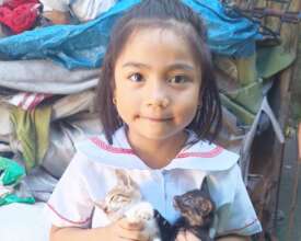 Maica with her two kittens, Mingming and Ming