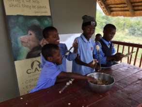 Baboon Field trips