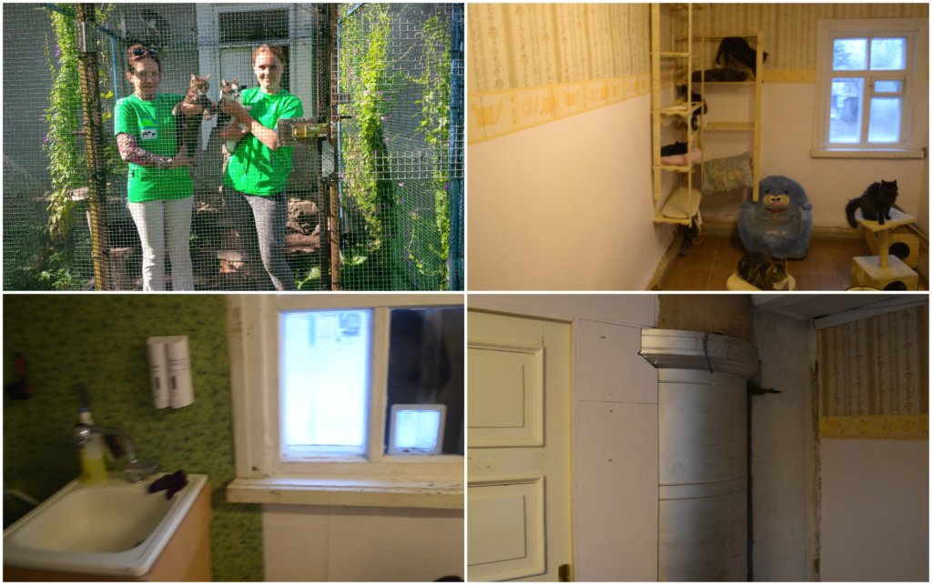 Reconstruction Of Animal Shelter in Latvia