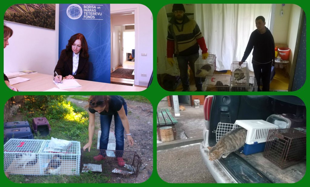 Reconstruction Of Animal Shelter in Latvia
