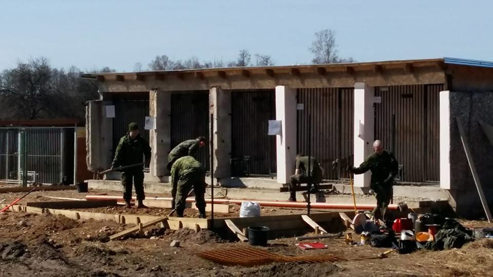 Reconstruction Of Animal Shelter in Latvia