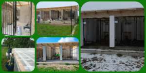 Building new kennels for dogs