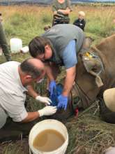 During a procedure