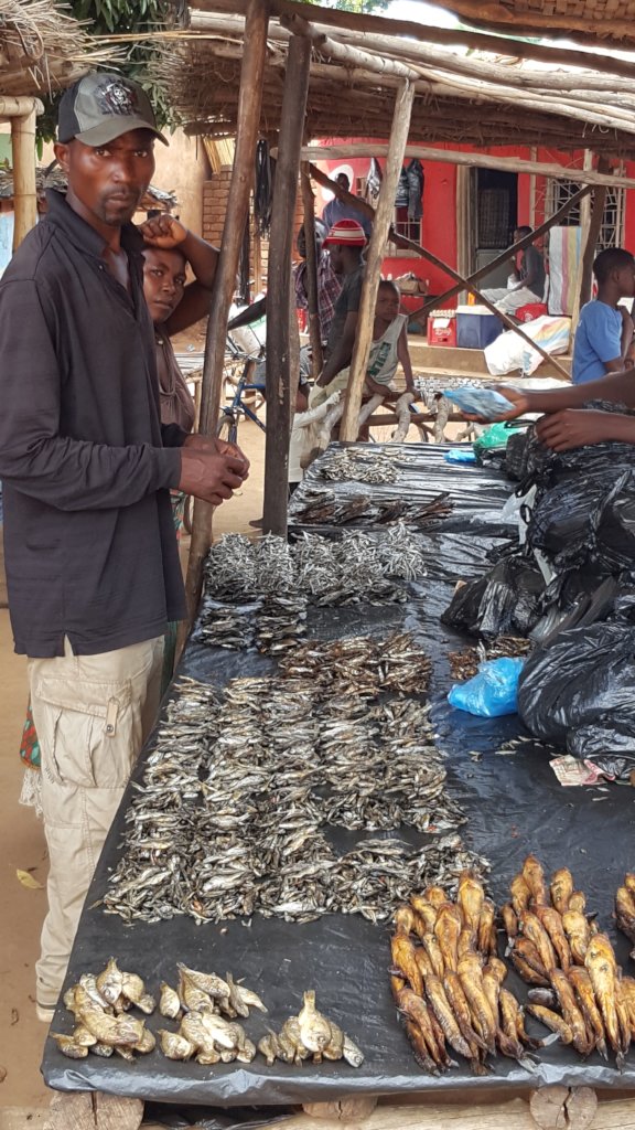 Build an eLearning Center in rural Malawi!