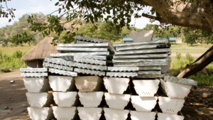 Beehives for distribution