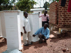 We need your help to make Beehives!