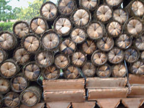 Modernized Grass beehives