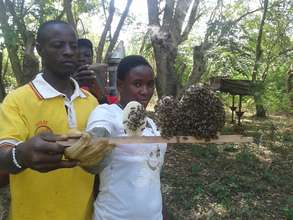 Omilling women see hope in beekeeping!