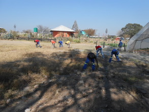 Clearing the land for our pre-school