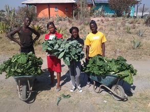 Produce from our expanded greenhouse feed our kids