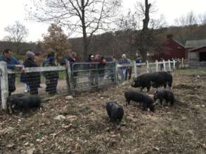Muscoot Farm with Sunshine Club