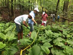 CBS and JJHS interns clear trail-St. Paul's Church