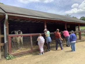 Sunshine Club enjoys Muscoot Farm