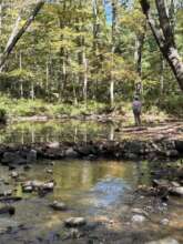 Peaceful moment during Caregivers Nature Break.