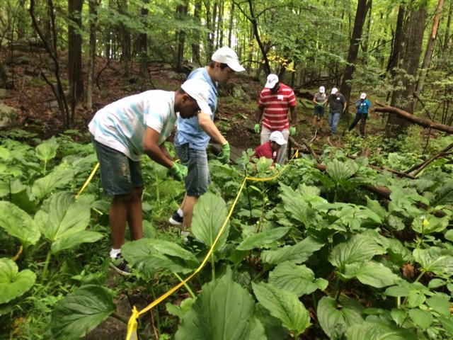 Empowering People With Disabilities Through Nature