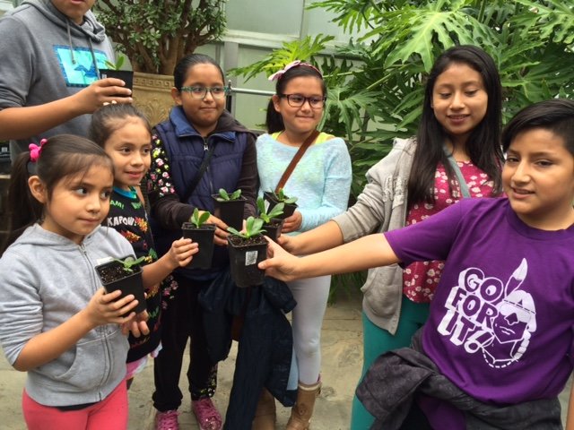 Empowering People With Disabilities Through Nature