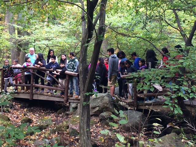 Empowering People With Disabilities Through Nature