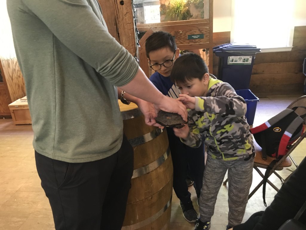 Empowering People With Disabilities Through Nature