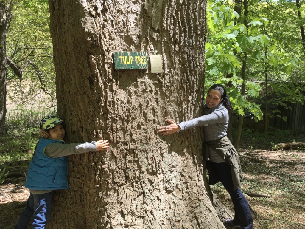 Empowering People With Disabilities Through Nature