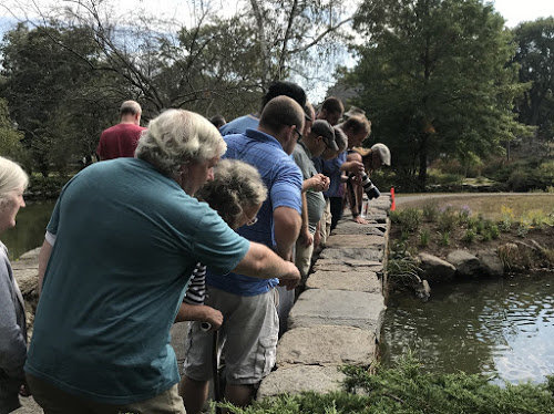 Empowering People With Disabilities Through Nature