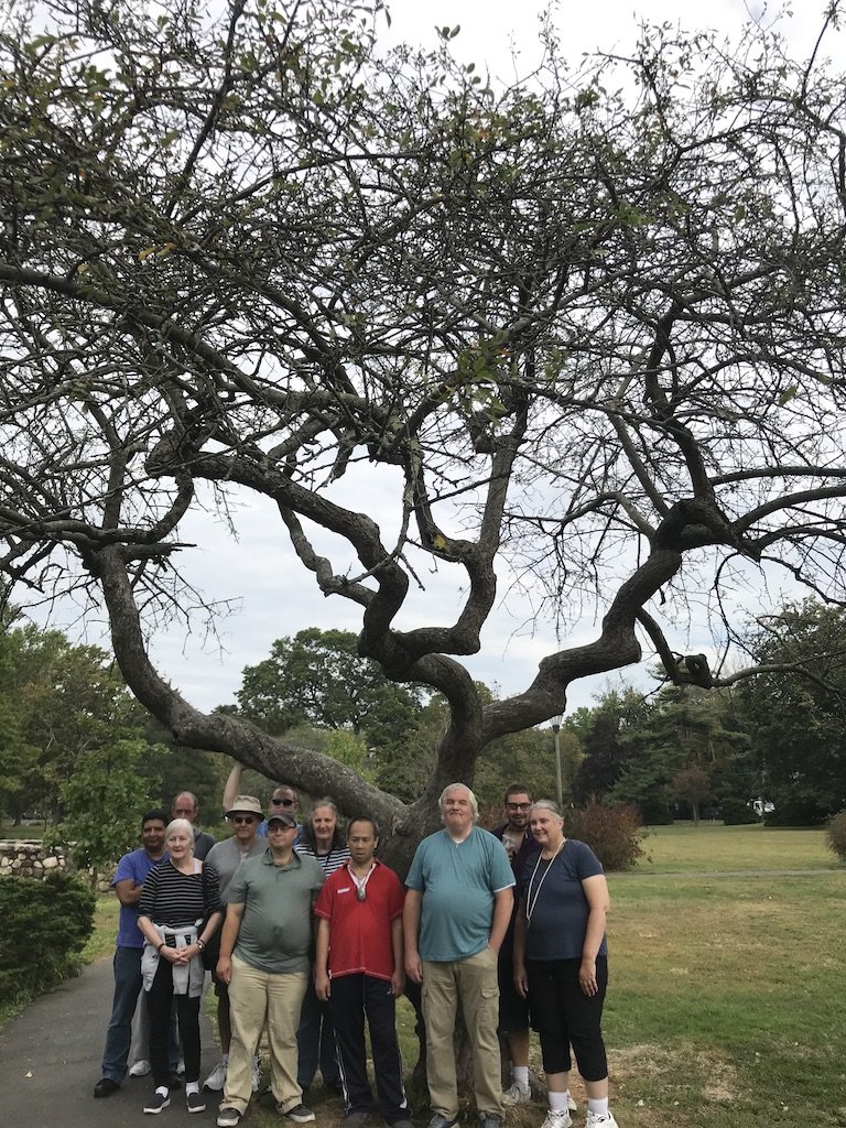 Empowering People With Disabilities Through Nature