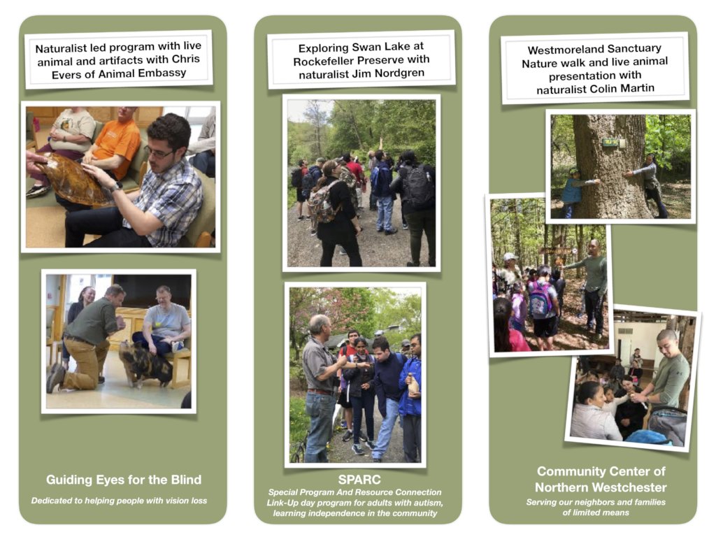 Empowering People With Disabilities Through Nature