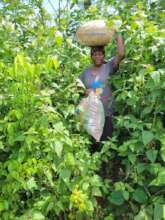 Women Leadership in  Combating Food Insecurity