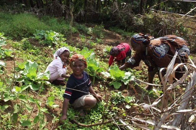 Women's Rights in  28  Villages Cameroon Africa