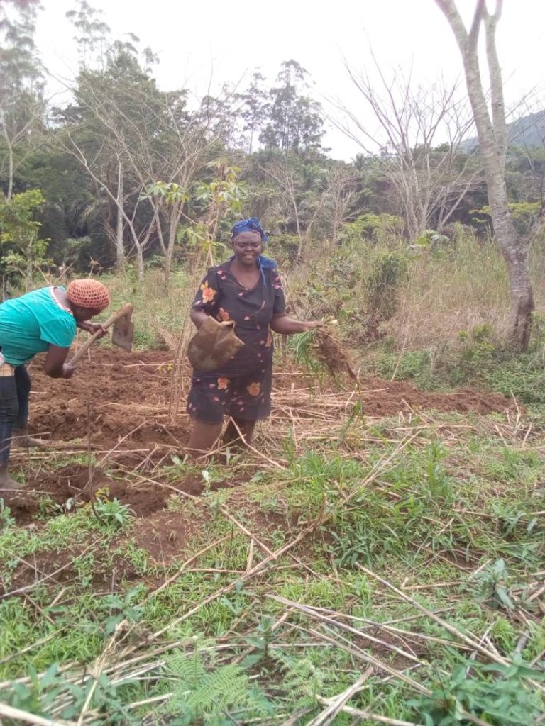 Women's Rights in  28  Villages Cameroon Africa